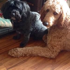 Meet your Posher, Jen